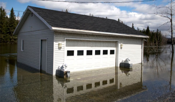 Water & Flood Cleanup Services